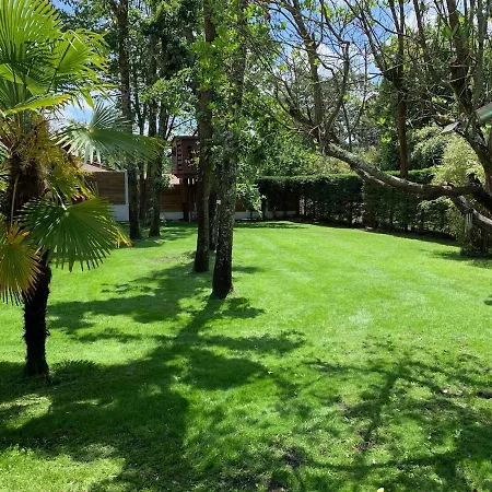 8 Chb Au Pied De La Foret , 450m Du Bassin *