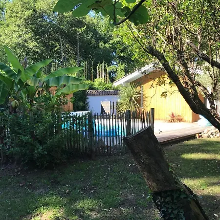 8 Chb Au Pied De La Forêt , 450m Du Bassin Andernos-les-Bains