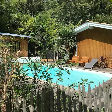 Villa 8 Chb Au Pied De La Foret , 450m Du Bassin Andernos-les-Bains