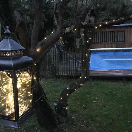 8 Chb Au Pied De La Forêt , 450m Du Bassin Villa Andernos-les-Bains