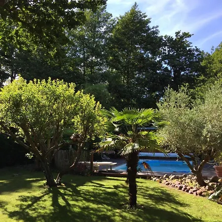 8 Chb Au Pied De La Forêt , 450m Du Bassin *