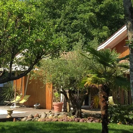 8 Chb Au Pied De La Foret , 450m Du Bassin Villa Andernos-les-Bains
