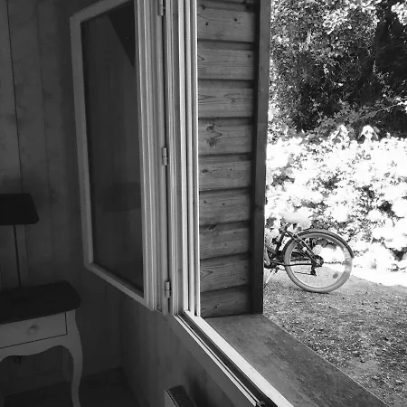 8 Chb Au Pied De La Foret , 450m Du Bassin Andernos-les-Bains