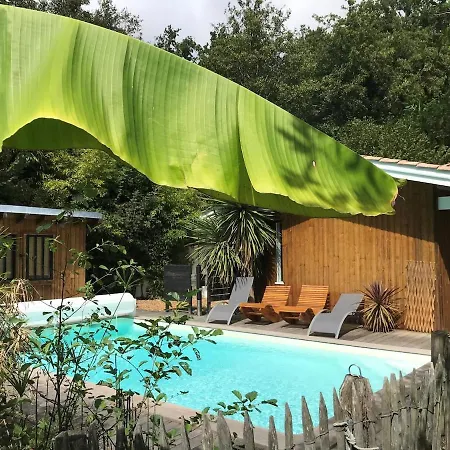 8 Chb Au Pied De La Forêt , 450m Du Bassin Villa Andernos-les-Bains