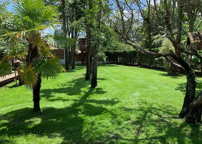 8 Chb Au Pied De La Foret , 450m Du Bassin *