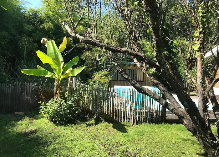 8 Chb Au Pied De La Foret , 450m Du Bassin * Andernos-les-Bains